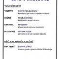 Léto v knihovně